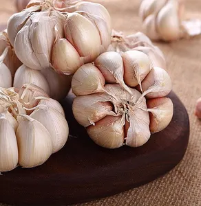 Sıcak satış sarımsak özü tozu satılık uygun fiyat kurutulmuş sarımsak tozu - Product Image 3