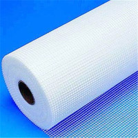 Papan semen cetakan serat kaca jala serat kaca 5x5mm 100g 100m produsen marmer casing kaca