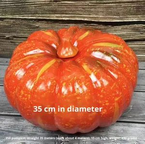Fabricant de citrouilles en mousse personnalisées pour citrouille artificielle en fausse mousse Halloween Thanksgiving Table Fall Harvest Home Decor - Product Image 6