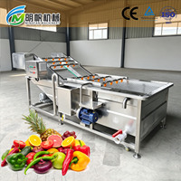 Fruit- en groentebellenwasmachine voor voedselverwerking