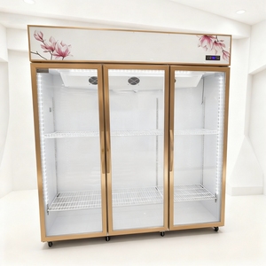 <span class=keywords><strong>Refrigerador</strong></span> Comercial para Exhibición de Flores, Enfriado por Aire, Especializado para Floristerías, Enfriador Viral para Conservación de Flores Frescas - Product Image 2