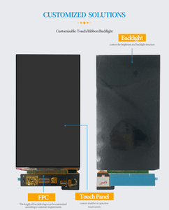 Pantalla AMOLED de 7 Pulgadas con Táctil Integrado, 1080*1920, 800nit de Luminancia, Relación de Contraste de 10000:1, Módulo de 7 Pulgadas para Consola de Juegos - Product Image 2