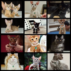 <span class=keywords><strong>Collar</strong></span> de Perlas de Lujo para Mascotas, Gatos y Perros |   <span class=keywords><strong>Collar</strong></span> de Gemas Ajustable para Sesiones de Fotos, Fiestas y Uso Diario - Product Image 2