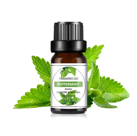Huile essentielle d'extrait de plante, huile d'eucalyptus pure naturelle biologique pour diffuseur, SPA, parfum, massage, soin de la peau, savon, bougie