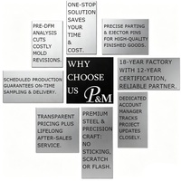 OEM PA PC PP PU PVC ABS Silicone Rapid Prototype Custom Parts Service Mould Rubber Plastic Injection Molding and Assembly