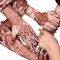 Usine en gros de haute qualité Afrique nouveau design pour le modèle de tatouage du corps de la main Mehndi tatouage au henné