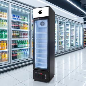 Réfrigérateur commercial sur mesure à porte vitrée simple, vitrine réfrigérée pour boissons et bières - Product Image 1