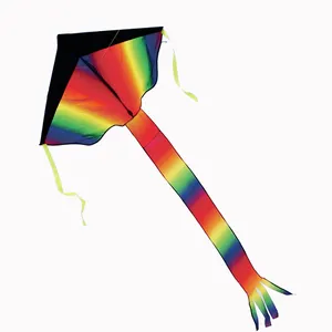 Large Rainbow Delta Kite For Kids