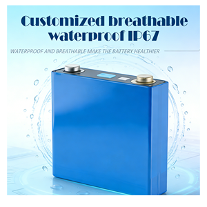 Factory Price Electric <strong>Scooter</strong> <strong>Battery</strong> <strong>48V</strong>/20Ah Lithium Ion <strong>Batteries</strong> Pack <strong>Batteries</strong> for Electric <strong>Scooter</strong>/Tricycle - Product Image 4