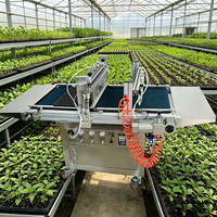 Semoir automatique professionnel Bondway pour serres, machines à semer pour légumes, fleurs, pépinières, plateaux de semis