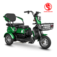 Tricycle électrique 500W 48V à 3 roues et 3 vitesses, haute vitesse, cadre en fer, capteur électronique, longue autonomie, pour passager adulte, loisirs urbains