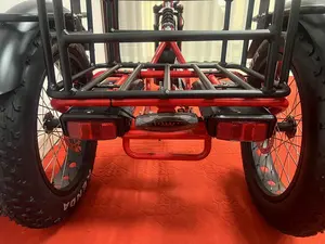 20 pollici Trike elettrico adulti 750w pneumatico grasso motore 3 <span class=keywords><strong>ruote</strong></span> <span class=keywords><strong>bici</strong></span> elettrica elettronica <span class=keywords><strong>tre</strong></span> <span class=keywords><strong>ruote</strong></span> adulti Cargo triciclo elettrico - Product Image 4