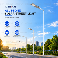 Lampadaires solaires LED intégrés haute puissance Cishine Factory tout-en-un, étanches pour l'extérieur, pour l'éclairage routier et les projets d'ingénierie.