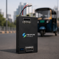 Batterie LiFePO4 60V 72V 60Ah 100Ah 150Ah 200Ah à longue durée de vie, étanche, pour tuk-tuk et rickshaw électrique