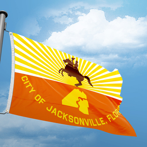 Giá cả phải chăng 3X5FT cờ quốc gia biểu ngữ bán buôn tùy chỉnh in kỹ thuật số trên Polyester đa quốc gia Florida jacksonville cờ - Product Image 2