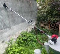 50cc Palmboomsnijder 3M Lange Palmolie Fruitnotenoogmachine