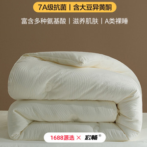 Type A Fiber Quilt Soybean Fiber Jacquard Warm Breathable Single Double Size Spring Autumn Winter All Season White - Product Image 3