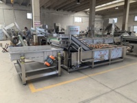 Commerciële Industriële Bubble Fruit Avocado Mango Groente Aardappel Wasmachine/Bevroren Groente Productielijn