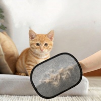 Gant de nettoyage des poils d'animaux amélioré, réutilisable, électrostatique, pour chiens et chats, avec vente en gros de nouveaux produits