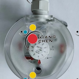 Interruptor de Presión Original Nuevo DO M6.170.0317 Drystar 2000, Sensor de Flujo de Aire - Product Image 3