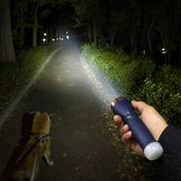 Lampe torche LED solaire avec recharge USB, double source lumineuse, faisceau principal et queue lumineuse pour le camping et les situations d'urgence