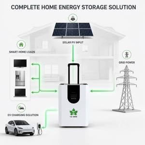 Station d'alimentation solaire mobile 3kW 4000Wh, onduleur à onde sinusoïdale pure MPPT, batterie LiFePO4 pour usage hors réseau, maison de campagne et camping - Product Image 3
