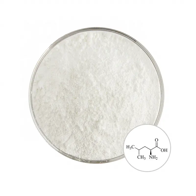 Hot Selling Food grade CAS 61-90-5 L-leucine powder with Wholesale price