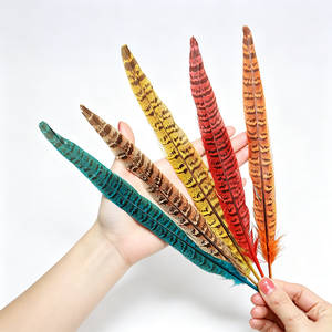 Plumes de faisan Ringnick colorées pour l'artisanat, l'embellissement de coiffes, les plumes cérémonielles, les accessoires de mariage et de festival - Product Image 1