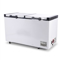 Congélateur coffre solaire 250L 12V/24V DC à compresseur, modèle BD/BC, 258 litres, système de congélation solaire pour la maison