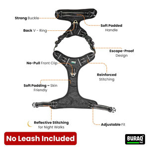 Harnais de chien de qualité supérieure, réglable et confortable, pour la promenade des chiens, l'entraînement quotidien, les activités de plein air et les voyages - Product Image 5