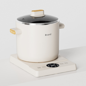 Pentola Elettrica Multifunzione da 2,2 Litri per Cucinare e Riscaldare Alimenti per Bambini - Product Image 1