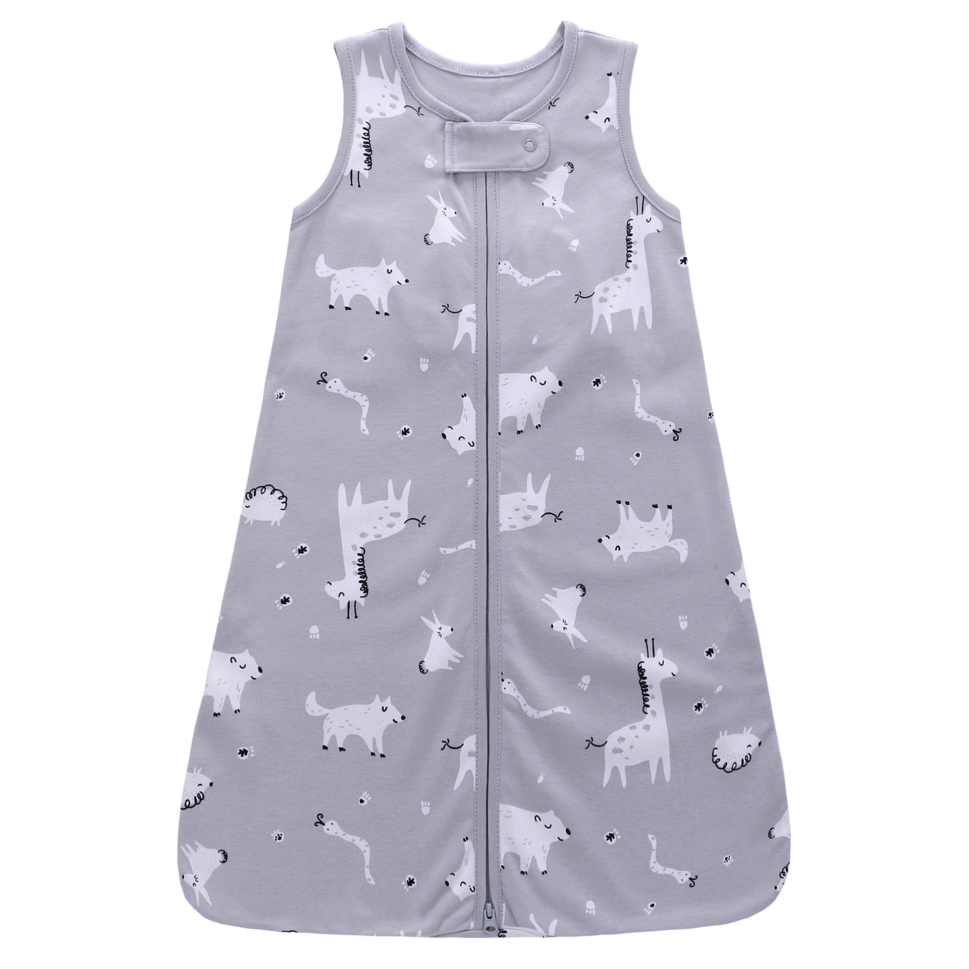 Giraffa