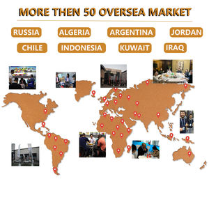 OEM fabriqué en chine meilleur spray <span class=keywords><strong>essence</strong></span> diesel carburant <span class=keywords><strong>injecteur</strong></span> <span class=keywords><strong>nettoyant</strong></span> <span class=keywords><strong>liquide</strong></span> - Product Image 6