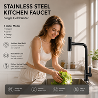 Robinet d'évier de cuisine en acier inoxydable 304 le mieux noté - Robinet mural à eau froide simple pour usage domestique et commercial