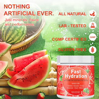 Compléments Sportifs Marque Blanche 0 Calorie 0 Sucre Électrolytes Poudre d'Hydratation Mélange Boisson Pastèque Poudre d'Électrolytes en Vrac