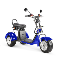 Trike Listrik Citycoco 1000W Berdaya Tinggi untuk Dewasa, Skuter Listrik 3 Roda dengan Baterai Lepas Pasang & Ban Lebar
