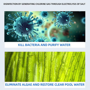 Generador de <span class=keywords><strong>Cloro</strong></span> Salino Automático Suming H01-C30, Portátil y Ligero, Salida de 30g/h para Piscinas y Jacuzzis, Filtro de 300m - Product Image 4