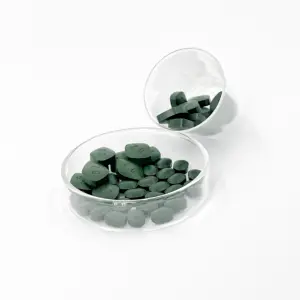 Progota Healthy Food Bulk Customized Organic Spirulina Tablets For Aquatic Feed