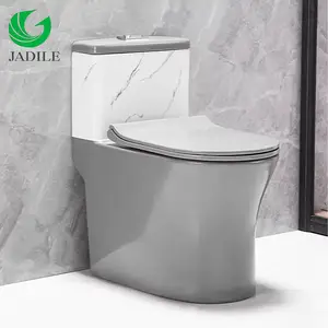 Popular Sanitary Ware One Piece Colour Toilet Bowl Marble One Piece Toilet Seat