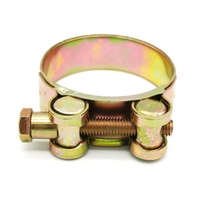 Collier de serrage en acier galvanisé à couple élevé personnalisable Clip Europe réglable pour fixation de boulon en T Support OEM