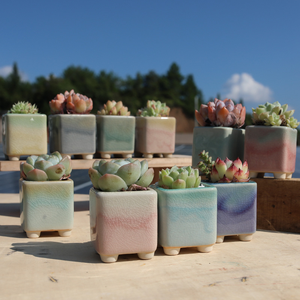 Macetas de Cerámica para Suculentas, Estilo Jardín, Acabado Esmaltado, con Orificio de Drenaje, Ecológicas y Duraderas, Venta al Por Mayor - Product Image 5