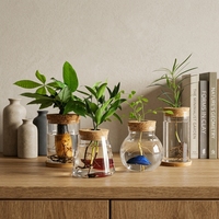 Vase Terrarium en Verre Cylindrique Transparent avec Couvercle en Liège à Trou Central, Design Méditerranéen Écologique pour Petits Poissons Betta