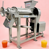 Hoge kwaliteit appelsapmachine/gemberpers spiraalvormige fruitsapcentrifuge voor fruitverwerking