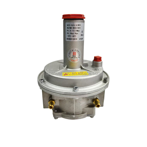 Regulador de Pressão de Gás Natural para Queimador, Válvula Redutora de Pressão de Gás Liquefeito - Product Image 6