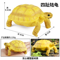 Figura de tortuga de simulación, juguete educativo de animales, tortuga de tierra realista, tortuga marina, estrella, modelo de tortuga, juguete cognitivo para niños