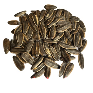 Hochwertiger Snack Halal Certified Small Bag Oem Flavor Geröstete gesalzene Sonnenblumen kerne