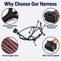 Harness Kabel OEM untuk Penerangan dengan Konektor Berperingkat IP68 untuk ATV