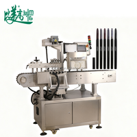 Système d'alimentation pour machine de marquage laser UV pour stylos, crayons à sourcils, cartons, codes de date par lots, graveur de codes GS1 et QR