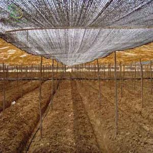 80% <strong>Shading</strong> Rate 1 Pin Black <strong>Agricultural</strong>/Agro/Greenhouse/Hoticultural Sun Shade <strong>Net</strong> <strong>for</strong> South East Asia - Product Image 4