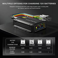 Pengisi Daya Baterai Lithium Ion Otomatis 25A 300W DC ke DC 12V/6V Inverter Surya Mobil dengan Kartu SIM dan Pemantauan Tegangan Nirkabel